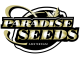 Avatar di paradiseseeds