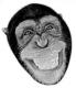 L'avatar di scimmia