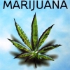 L'avatar di re marijuana