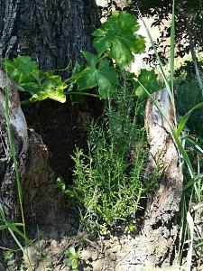 Clicca l'immagine per ingrandirla. 

Nome: IMG_20180628_120211 (FILEminimizer).jpg 
Visualizzazioni: 2 
Dimensione: 322.8 KB 
ID: 116005