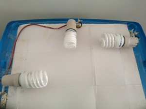Clicca l'immagine per ingrandirla. 

Nome: lumen terzo.png 
Visualizzazioni: 2 
Dimensione: 130.4 KB 
ID: 96275