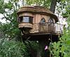 tree-houses.jpg‎