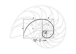 Clicca l'immagine per ingrandirla. 

Nome: nautilus.png 
Visualizzazioni: 3 
Dimensione: 32.8 KB 
ID: 114089