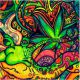 Avatar di GreenGrower