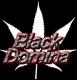 L'avatar di BlackDomina