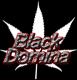 BlackDomina