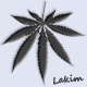 L'avatar di Lakim