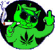 L'avatar di Skunkboy420