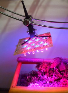 Il pannello di LED autocostruito in funzione