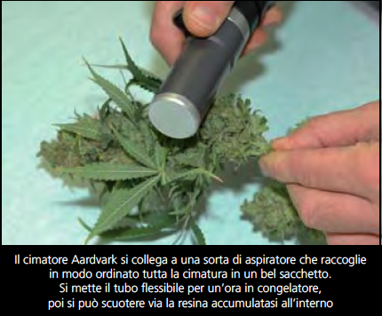 screen-capture-4