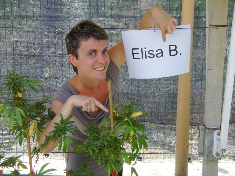 cannabis_sindrome fibromialgica_Elisa_B