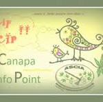 Canapa Info Point Ascia