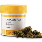 cannabisflos