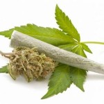 cannabis-terapeutica